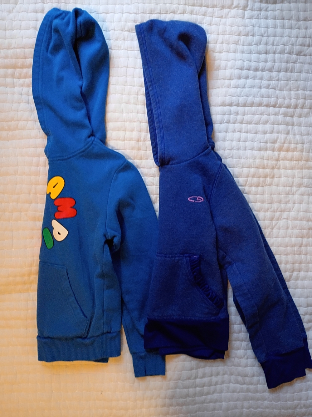 2 Champion Kids Hoodies Size 6. One Unisex One Girls.